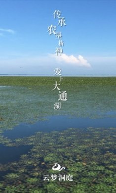 云梦洞庭app官方手机版下载图片1