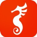 海马快讯官方版