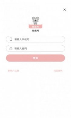 冠鼠网app官方版