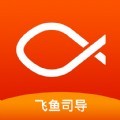 飞鱼司导app官方手机版  v4.0.5