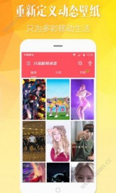 抖猫视频桌面手机版app