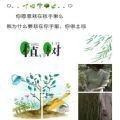 植树节九宫格拼图图片分享