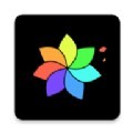 百变视频壁纸app手机版  v3.1.6