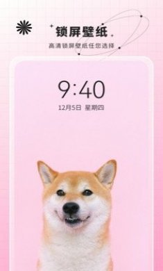 壁纸大全免费app最新版