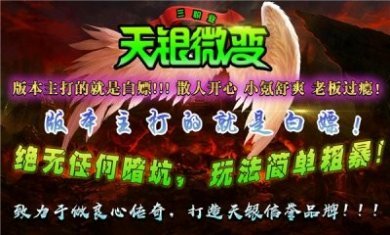 天银微变三职业手游官方版图片1