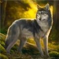 荒野狩猎生存游戏官方版