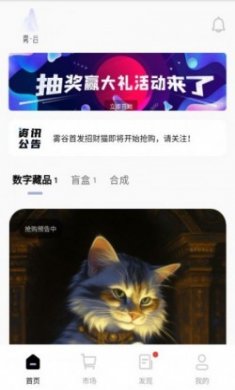 雾谷艺术meta数藏app官方版