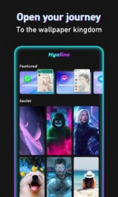 wallfancy壁纸最新版