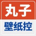 丸子壁纸控app官方版