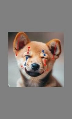 draggan P图软件最新版