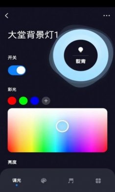 普为光电灯光控制app手机版（PVTECH）图片2