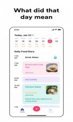 Day Made饮食饮水记录软件手机版