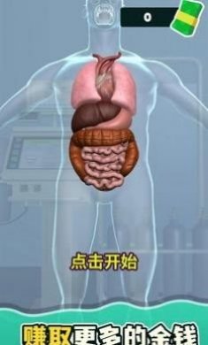 消化器官游戏最新版