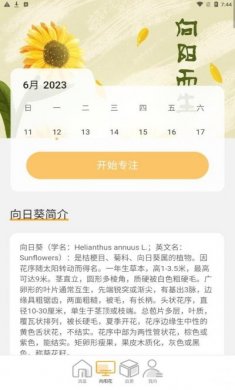 向阳流量免费版app下载安装图片1