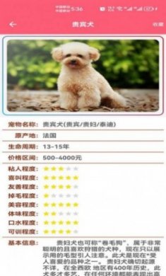 宠物宝宝大全app官方版