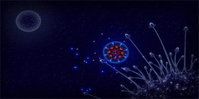 微生物模拟器中文版免费下载
