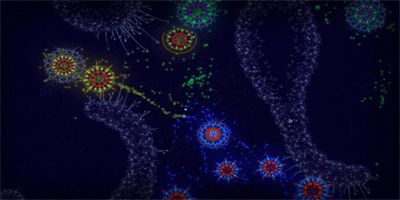 微生物模拟器中文版免费下载