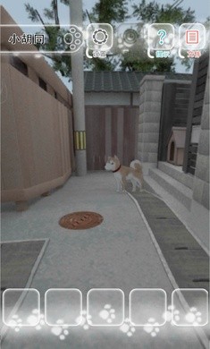 迷途猫中文版下载