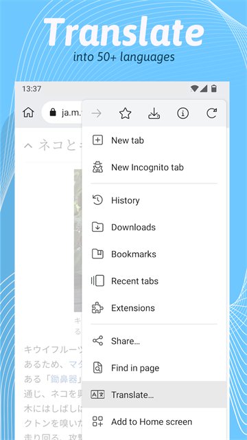 kiwi浏览器手机版下载(Kiwi Browser)v139.0.7339.0 安卓版