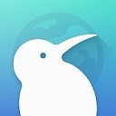 kiwi浏览器手机版下载(Kiwi Browser)v139.0.7339.0 安卓版